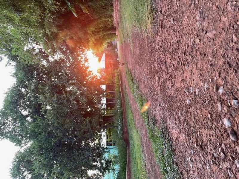 Your Piece of Paradise, 15 Hectares of Potential! - Photo 10