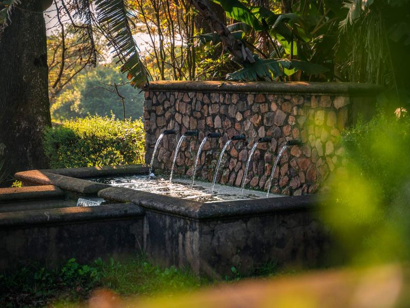 3 Bedroom Luxury Modern Home in Alverstone Equestrian Estate - Photo 5