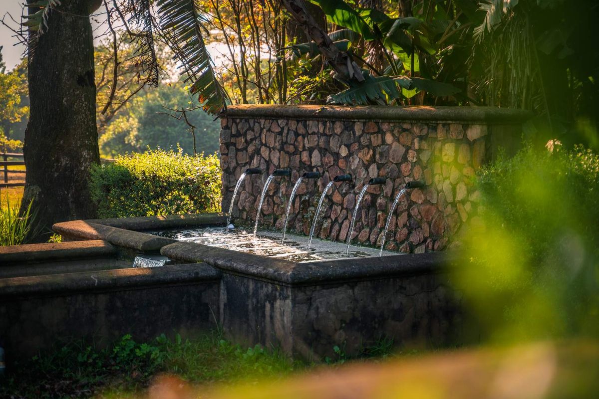 3 Bedroom Luxury Modern Home in Alverstone Equestrian Estate - Photo 5