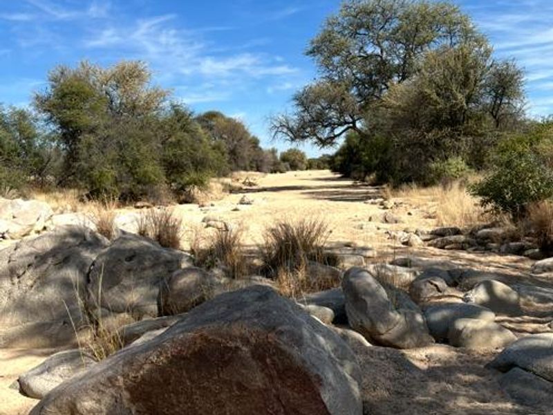 Large Game Farm close to the Erindi Game Reserve- 7900 HA - Photo 4