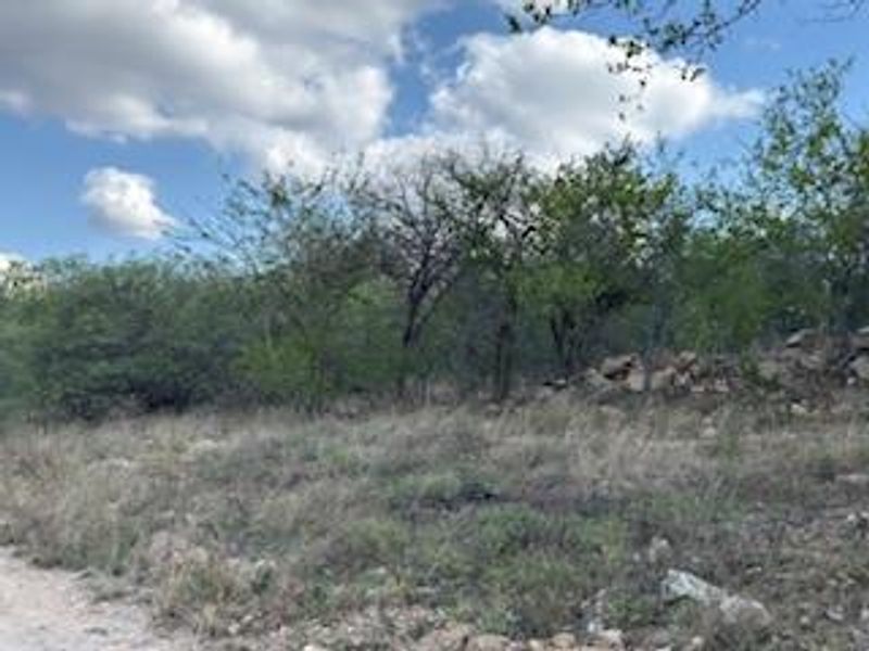 A view of the natural, undeveloped residential land featuring native trees and rocky ground cover.