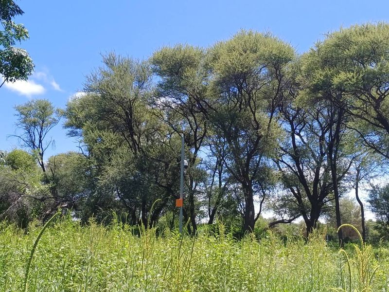 Build your dream home in the heart of nature! ✨ This beautiful vacant erf is situated in the sought-after Okakango River Estate, approximately 3km North-East of - Photo 4