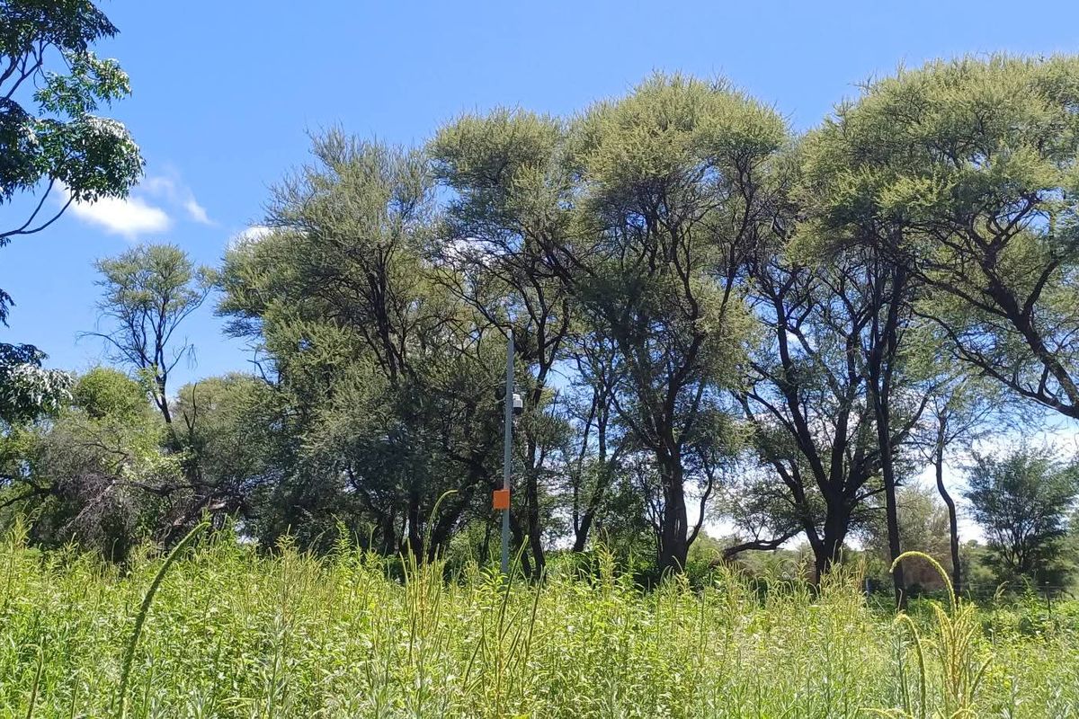 Build your dream home in the heart of nature! ✨ This beautiful vacant erf is situated in the sought-after Okakango River Estate, approximately 3km North-East of - Photo 4