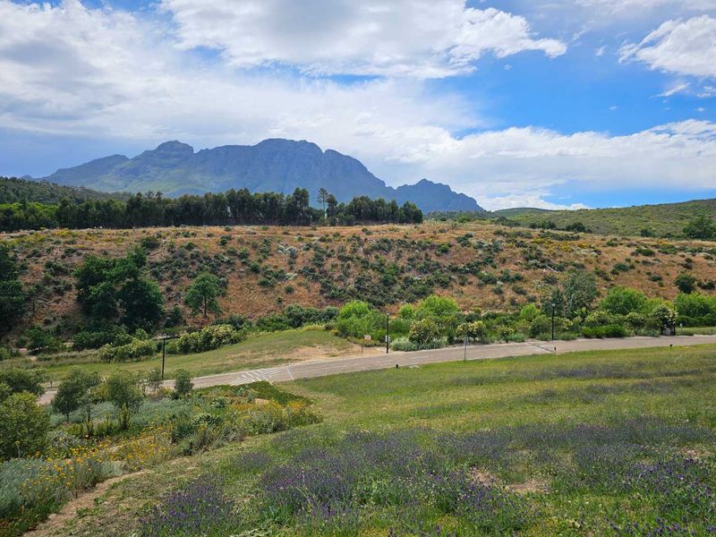 No Transfer Duty! Come and just move in! La Roche Secure Estate situated adjacent to Helshoogte , between Stellenbosch and Franschhoek - Photo 10