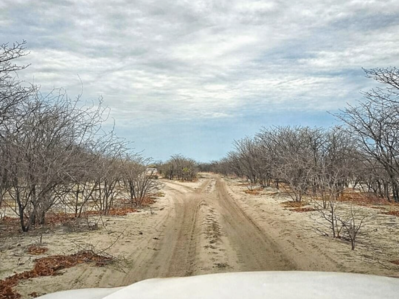 FOR SALE : ESTABLISHED, FULLY OPERATIONAL RENTAL & TOUR BUSINESS - Photo 6