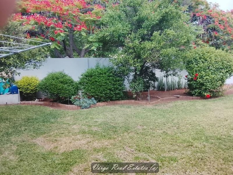 A private backyard garden featuring a well-maintained lawn, established trees, and a solid boundary wall with brick edging.