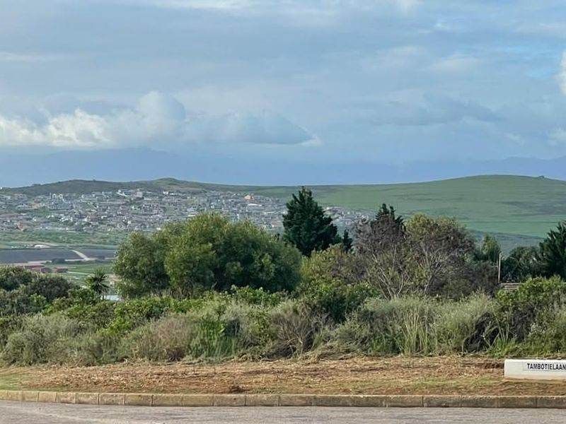 Development opportunity - Photo 7
