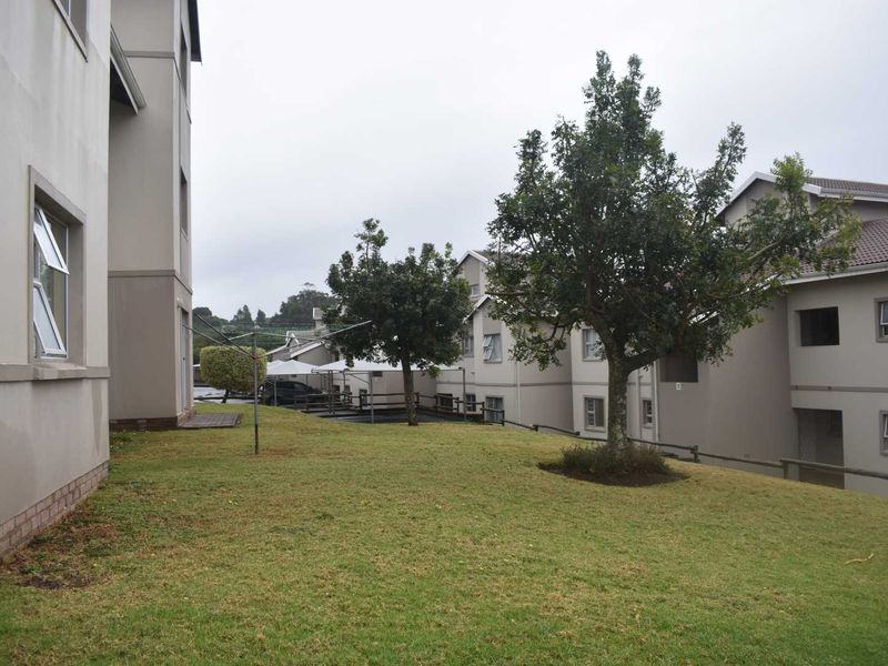 The Perect Starter! - Photo 3