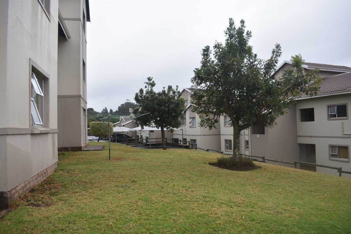 The Perect Starter! - Photo 3