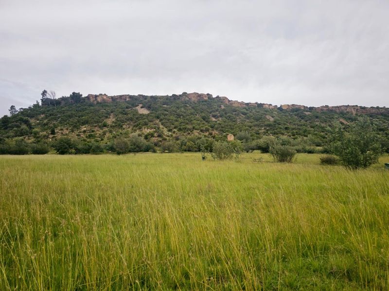 Experience the Tranquility of Mountain Living with This Prime 1250 sqm Vacant Land - Photo 5