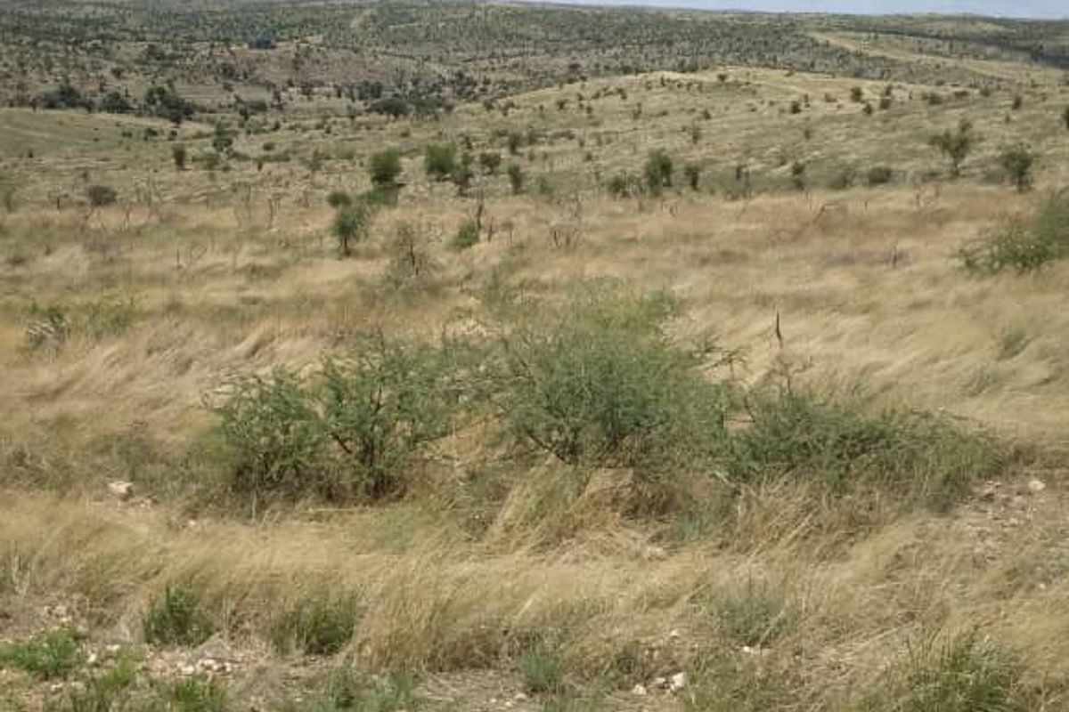 21 HA PLOT FOR SALE, KHOMAS HOCHLAND, NAMIBIA - Photo 5