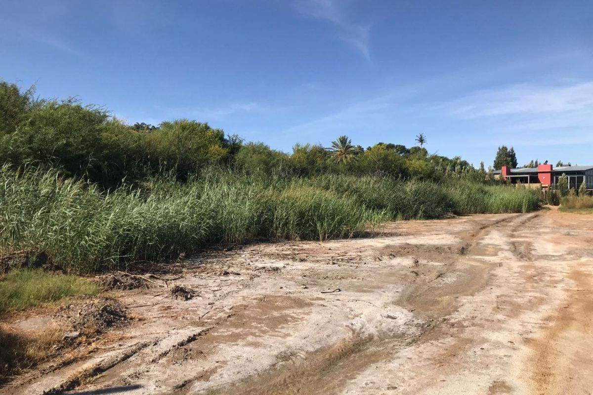 Vacant stand on 'n prime spot in a very popular area. - Photo 4