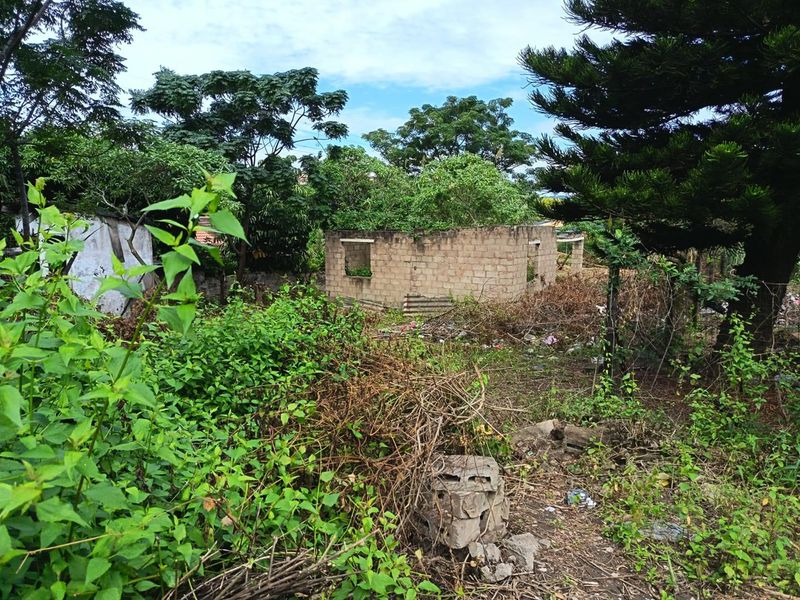 A house that needs a tender loving care. A TLC House Awaits for you! - Photo 5