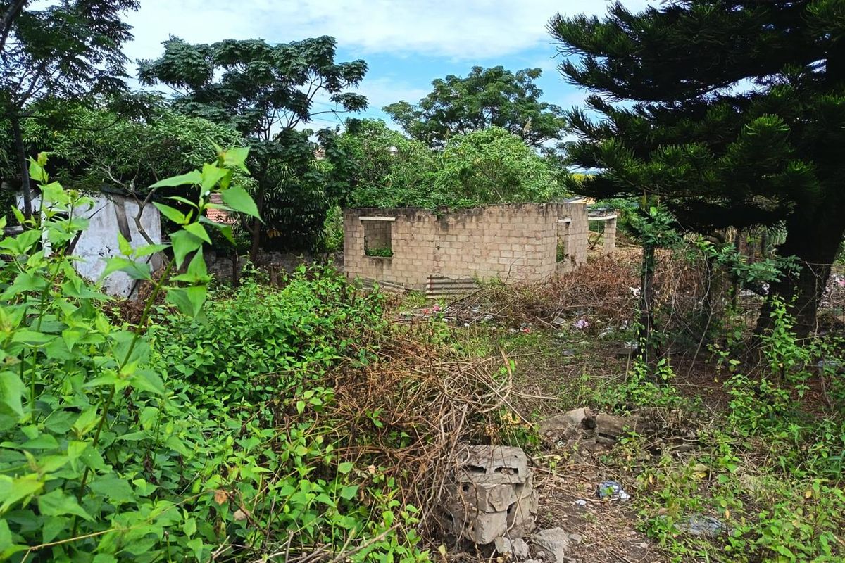 A house that needs a tender loving care. A TLC House Awaits for you! - Photo 5