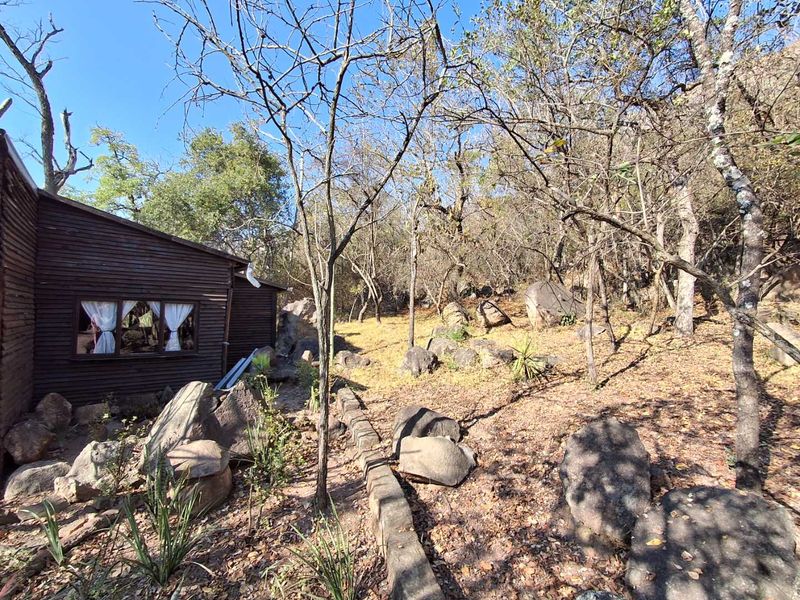 A natural, wooded rear garden area featuring timber-clad exterior walls and rustic stone landscaping elements.