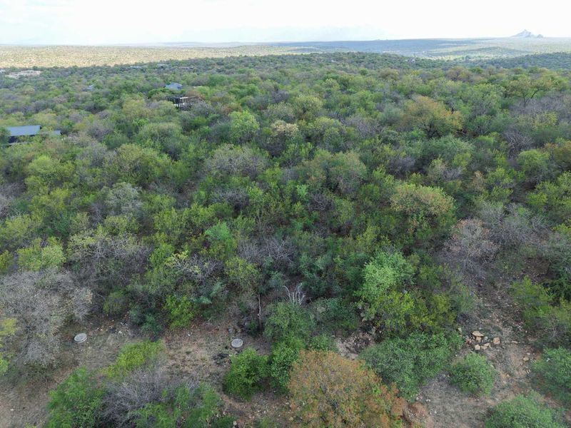 An aerial view of a large, undeveloped residential plot featuring dense native bushveld vegetation and natural landscape.