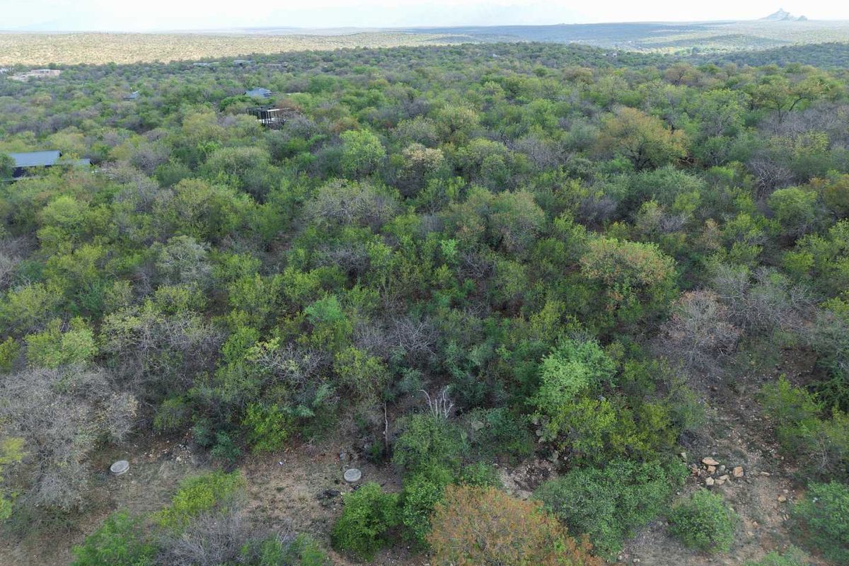 An aerial view of a large, undeveloped residential plot featuring dense native bushveld vegetation and natural landscape.