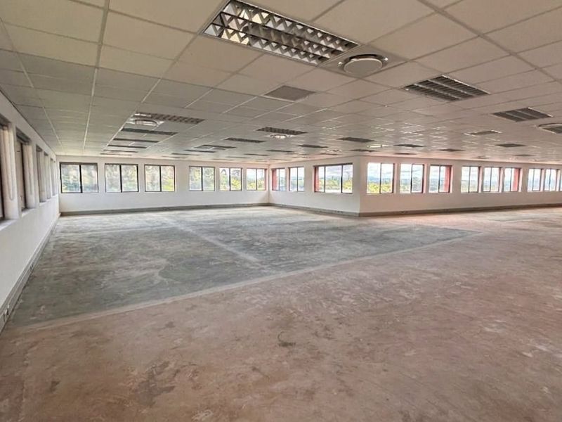A large, open-plan office space featuring a suspended ceiling with recessed lighting and extensive windows providing ample natural light and views.