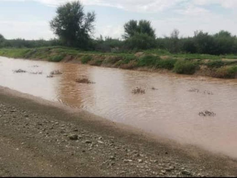 FARM FOR SALE - KEETMANSHOOP - Photo 4