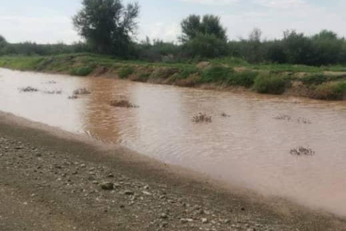 FARM FOR SALE - KEETMANSHOOP - Photo 4