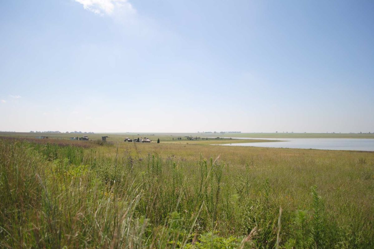Vaal Dam water front stands from 1.5ha 20Km from Vaal Marina - Photo 4