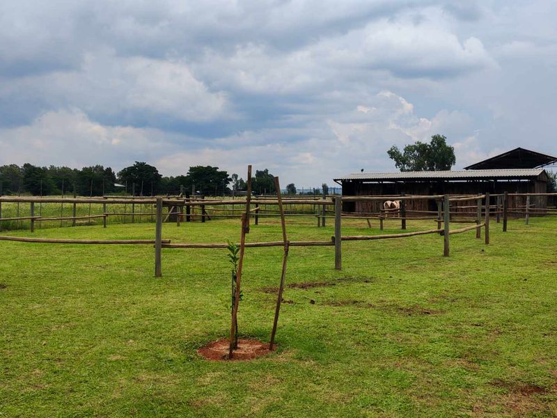 Business Opportunity with Country Living! - Photo 5