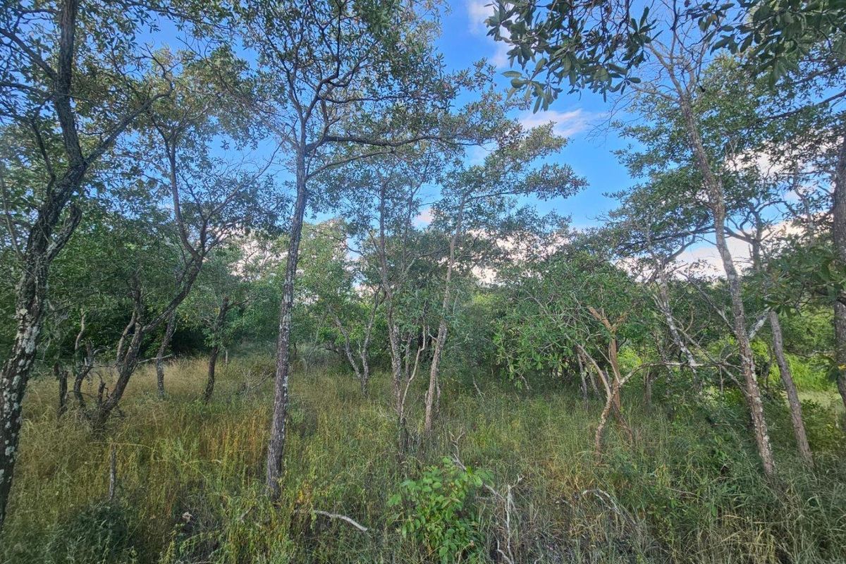 Vacant Land in MODITLO NATURE RESERVE - Photo 5