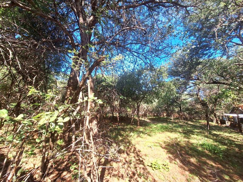 Prime 800m2 Plot in Leeupoort - Tranquil Retreat - Photo 5