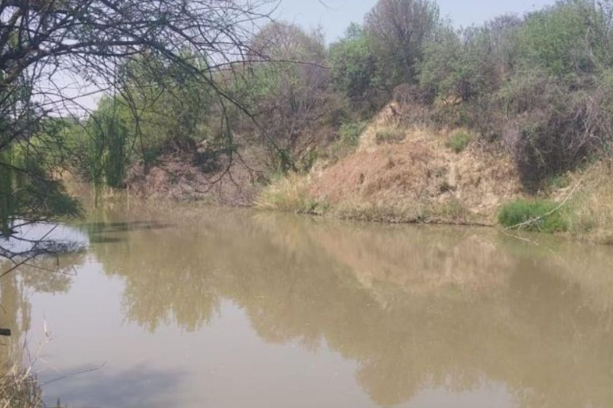 "Farm, Live, Thrive on 9.6 Hectares of Potential VACANT LAND IN KOPJES SETTLEMENT!!! - Photo 3
