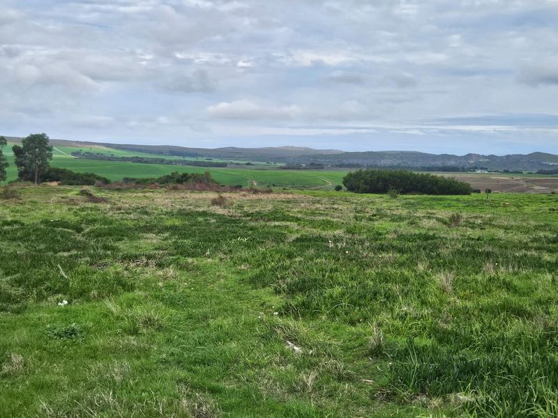 Expansive 10.97 Hectare Lifestyle Farm with Scenic Views - Photo 5