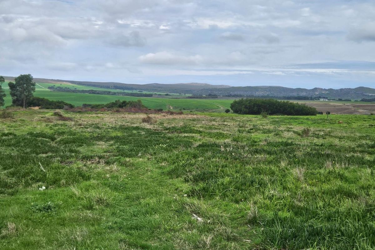 Expansive 10.97 Hectare Lifestyle Farm with Scenic Views - Photo 5