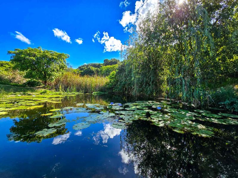 Prime vacant stand for sale in Stilbaai-Wes. - Photo 8