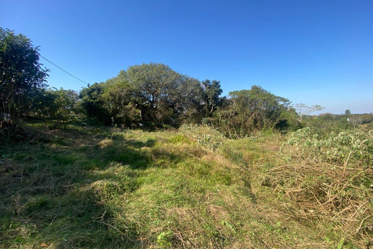 GENEROUS LAND OPPORTUNITY IN SOUGHT-AFTER EVERTON. - Photo 2