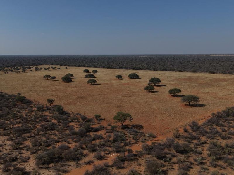 Aerial view of expansive open farm land featuring scattered indigenous trees and perimeter wire fencing.