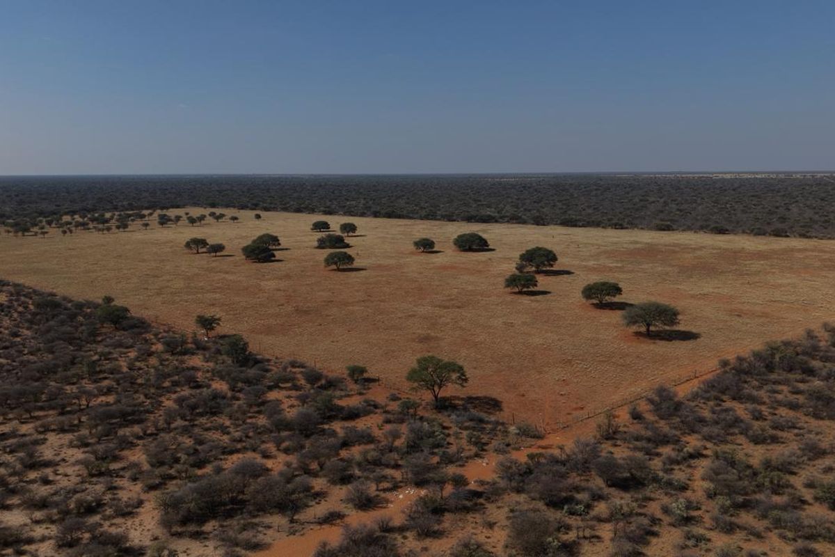 Aerial view of expansive open farm land featuring scattered indigenous trees and perimeter wire fencing.