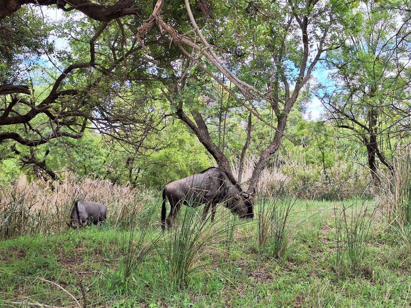 Build Your Ideal Home Here - Photo 2