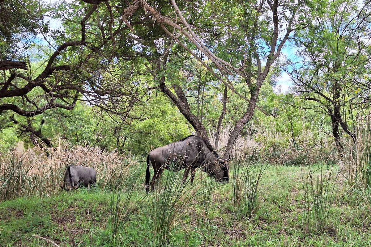 Build Your Ideal Home Here - Photo 2