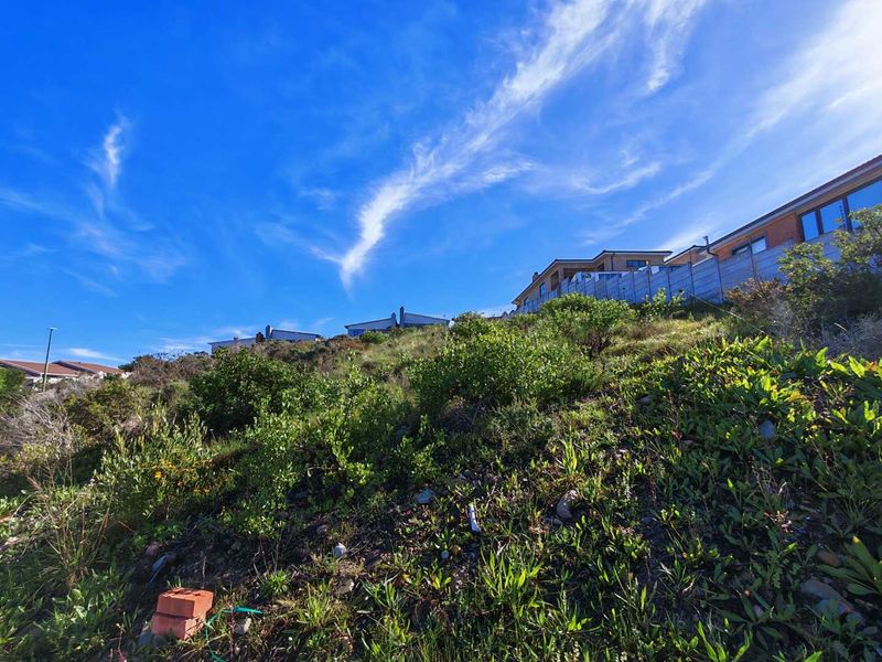 A view of the sloped residential vacant land featuring natural vegetation and surrounding neighborhood properties.
