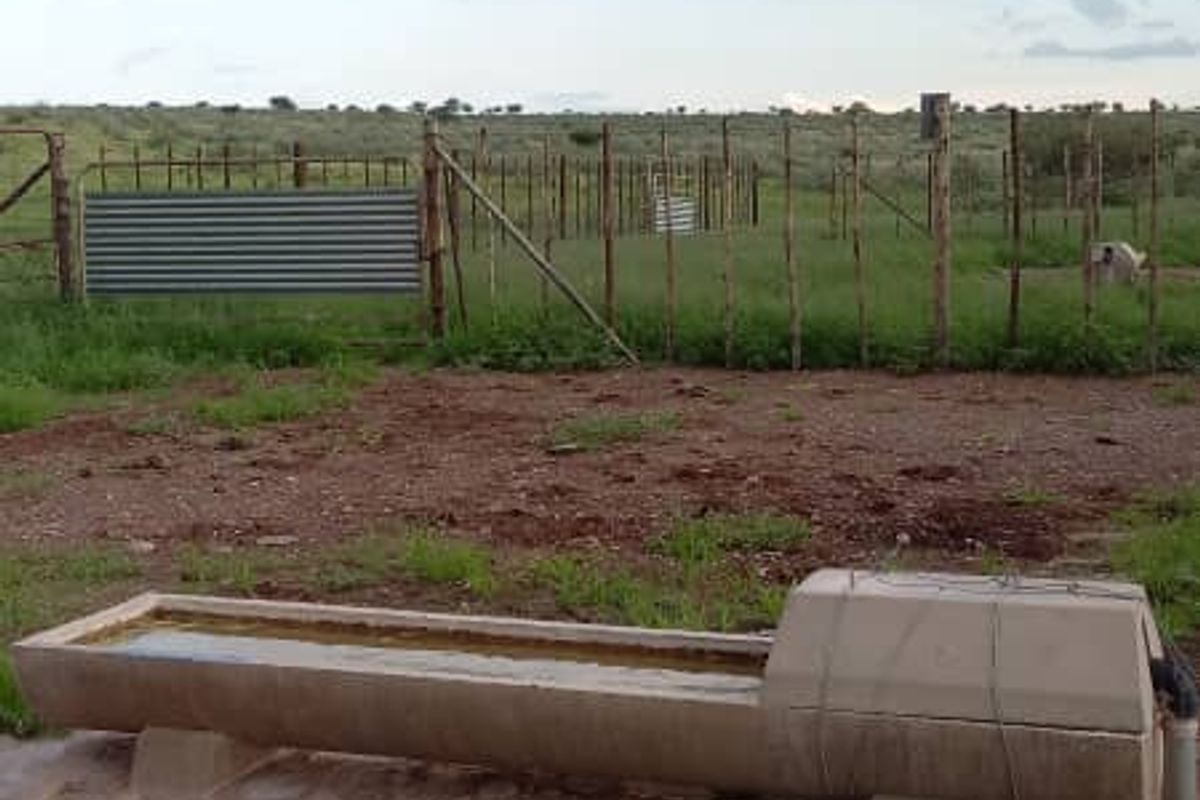 Discover the perfect blend of tranquillity and functionality with this expansive 7,800-hectare farm. - Photo 3