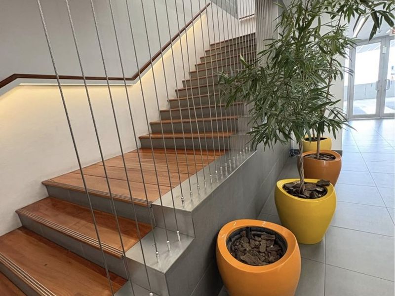 Modern hallway featuring a timber staircase with a sleek stainless steel cable balustrade and integrated recessed LED lighting.