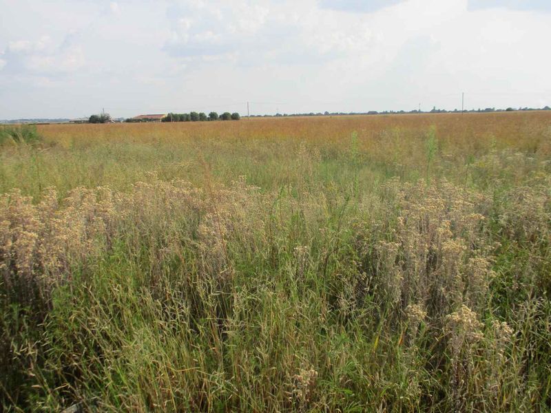 Good flat stand - Photo 3