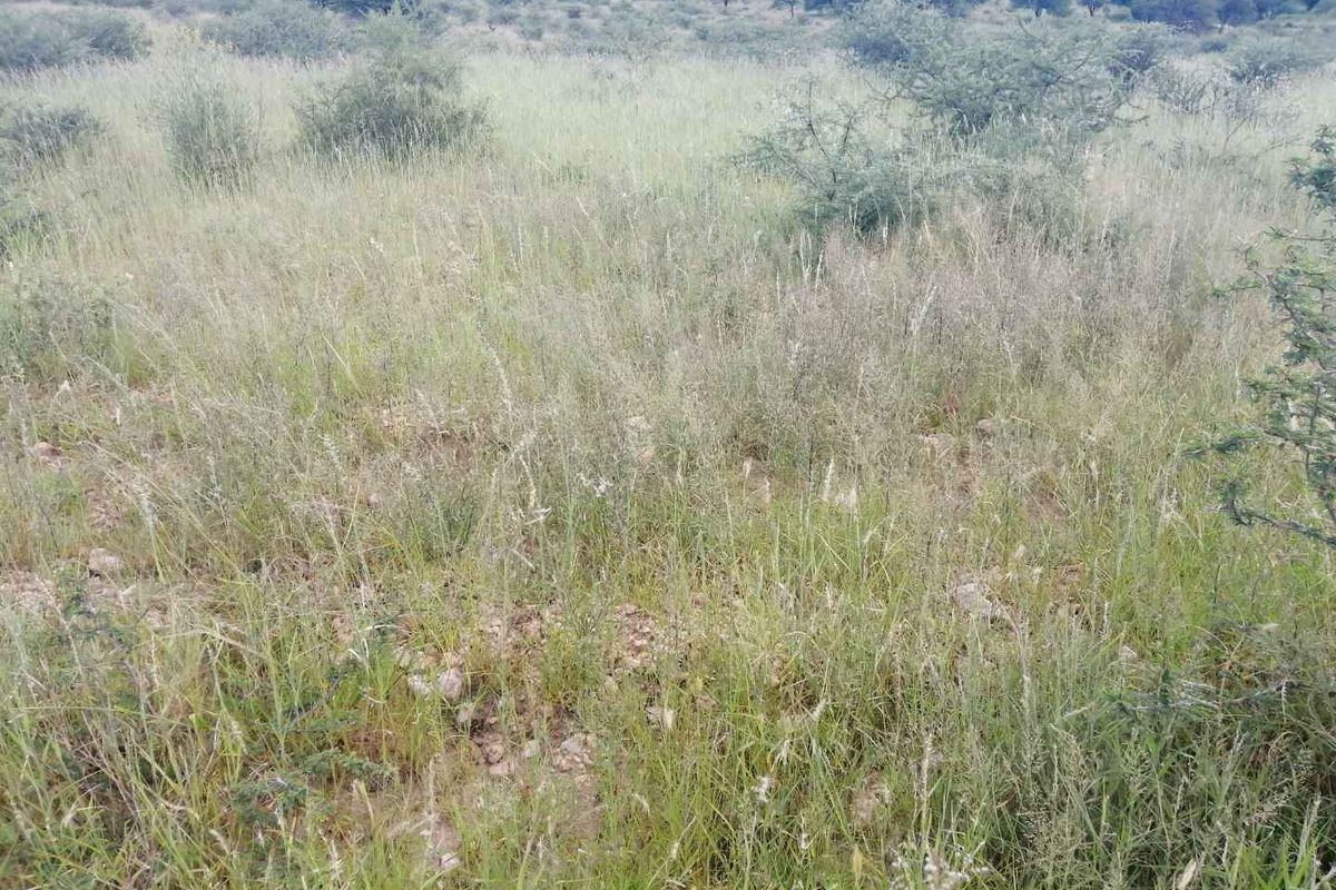 Brakwater Commercial Plot For Sale - Photo 2