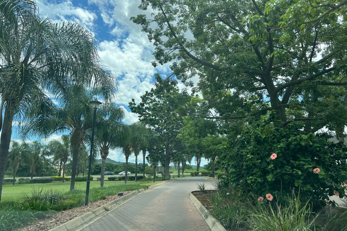 Pristine property for sale. - Photo 4