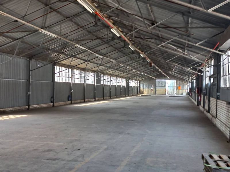 1 025m2 Benoni Warehouse To Let - Photo 7