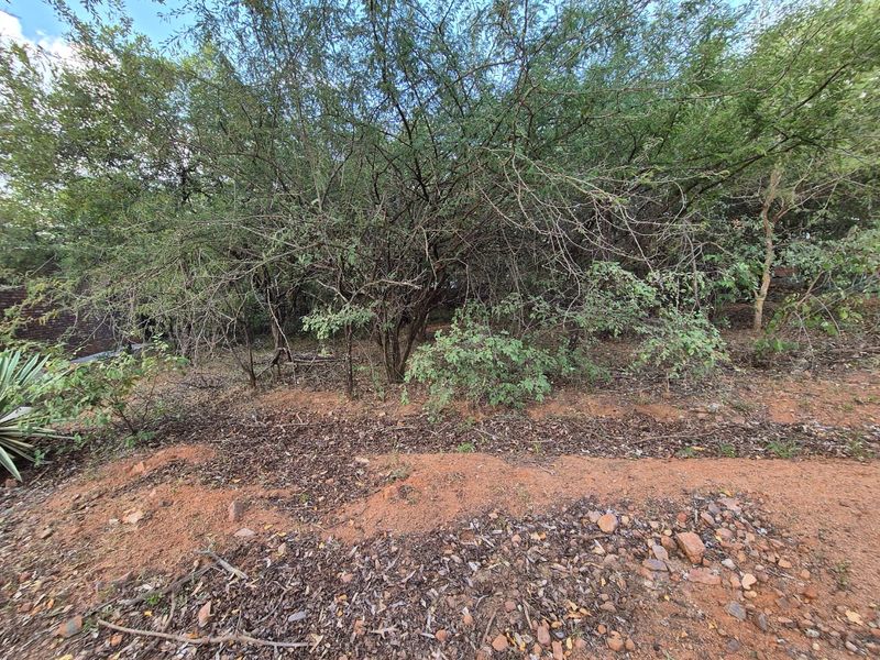 400m2 Level Stand - Photo 3