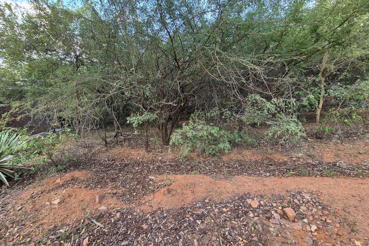 400m2 Level Stand - Photo 3