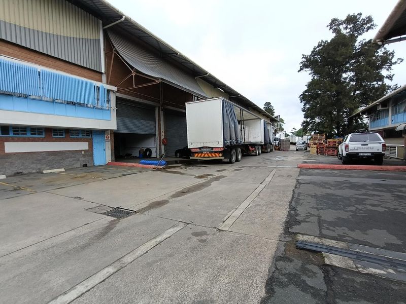 918m2 - Warehouse | New Germany - Photo 9