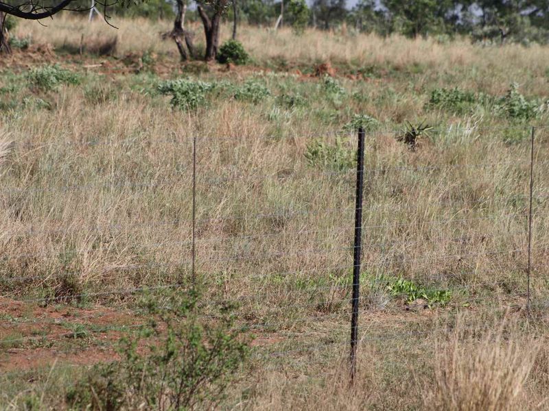 An expansive view of the small holding property featuring natural grassland and perimeter wire fencing.