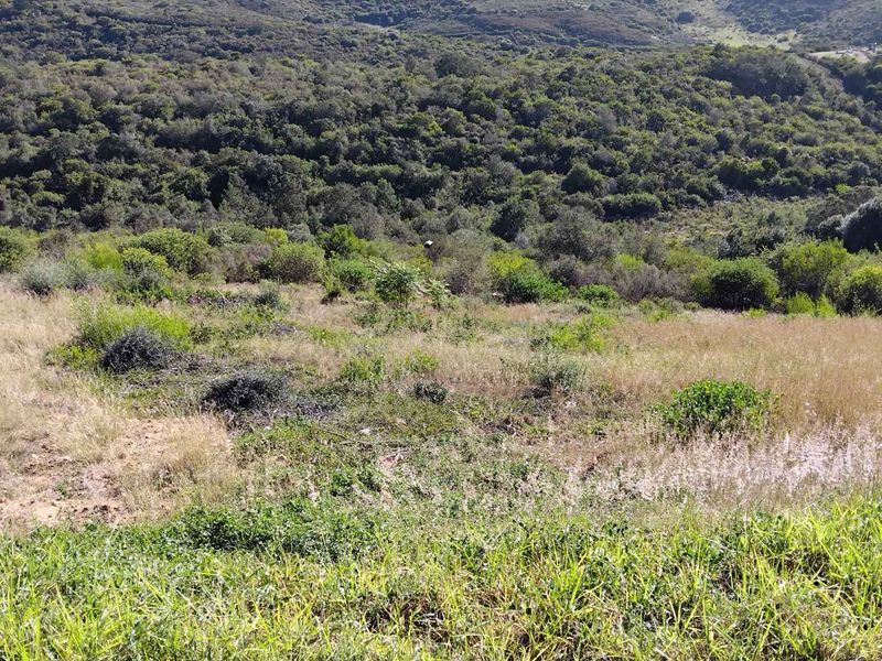 AVONDDANS: STUNNING  882 M2 VACANT LAND WITH MOUNTAIN VIEWS !!! - Photo 4