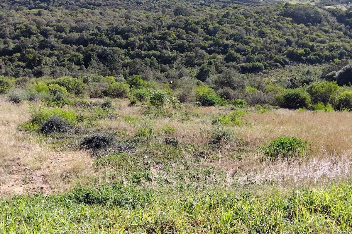 AVONDDANS: STUNNING  882 M2 VACANT LAND WITH MOUNTAIN VIEWS !!! - Photo 4